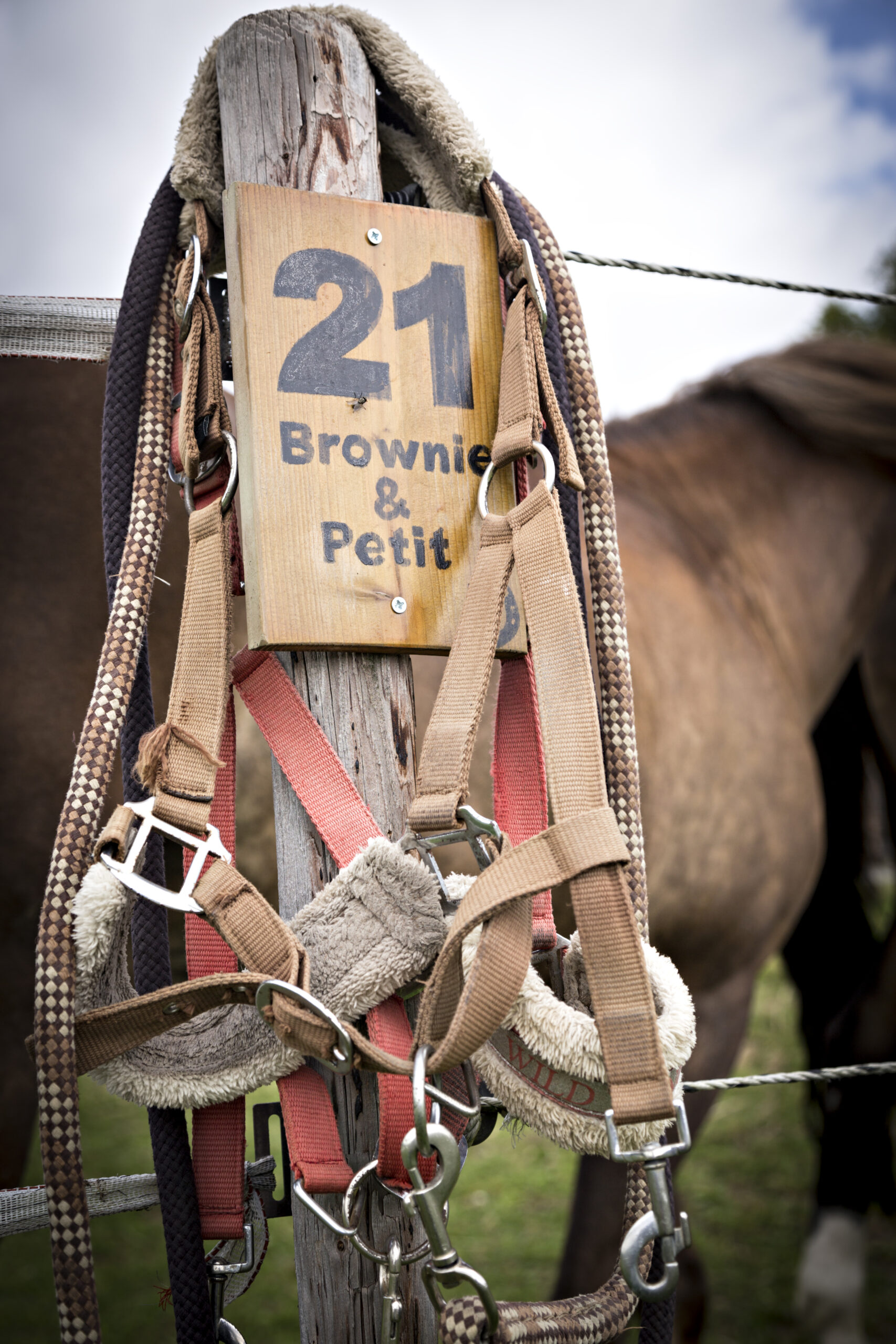 Extreme Sports Mountain Climbing